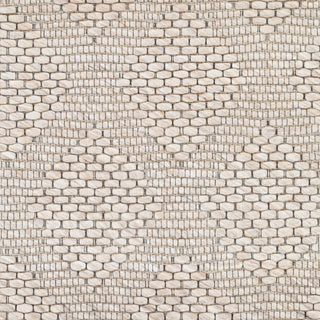 Surya Colarado CDO-2301 Area Rug Swatch