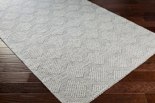 Surya Colarado CDO-2302 Area Rug Main