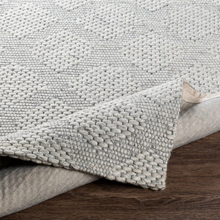 Surya Colarado CDO-2302 Area Rug Pile