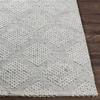 Surya Colarado CDO-2302 Area Rug Angle