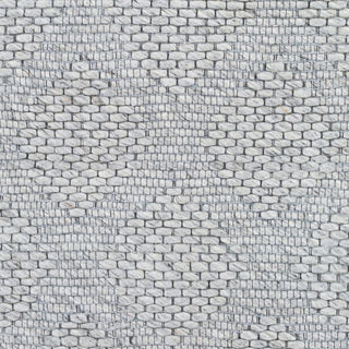 Surya Colarado CDO-2302 Area Rug Swatch