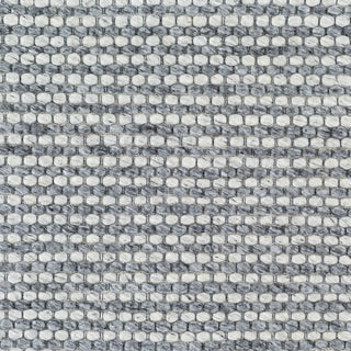 Surya Colarado CDO-2303 Area Rug Swatch