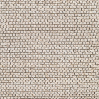 Surya Colarado CDO-2304 Area Rug Swatch