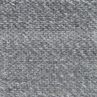 Surya Colarado CDO-2306 Area Rug Swatch