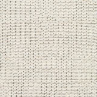 Surya Colarado CDO-2307 Area Rug Swatch