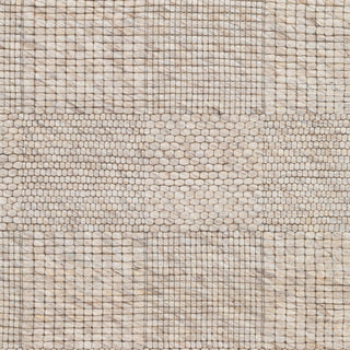 Surya Colarado CDO-2308 Area Rug Swatch