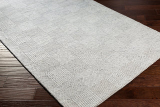 Surya Colarado CDO-2309 Area Rug Main