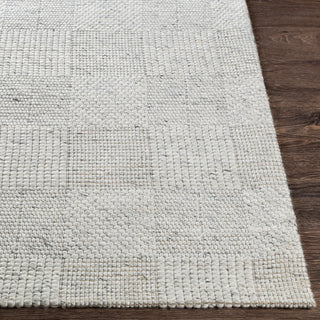 Surya Colarado CDO-2309 Area Rug Angle
