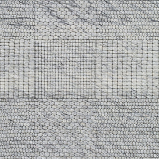 Surya Colarado CDO-2309 Area Rug Swatch