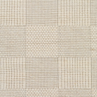 Surya Colarado CDO-2310 Area Rug Swatch