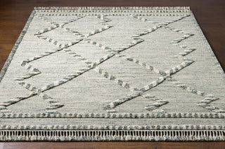 Surya Cadiz CDZ-2301 Area Rug Angle