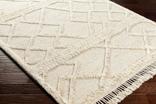 Surya Cadiz CDZ-2303 Area Rug Corner Shot