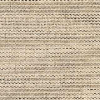 Surya Cecelia CEI-2300 Area Rug Swatch