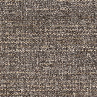 Surya Cecelia CEI-2303 Area Rug Swatch
