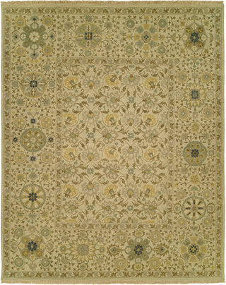 Ancient Boundaries Cephas CEP-22 Area Rug Main Image