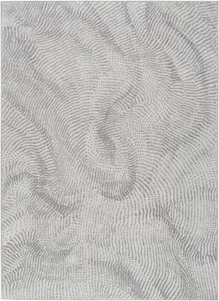 Nourison Central Park West CEP01 Grey Area Rug by DKNY main image