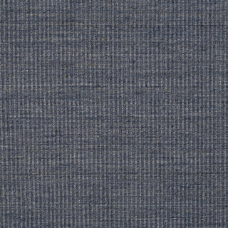 Dalyn Chambal CH1 Denim Area Rug Swatch Image