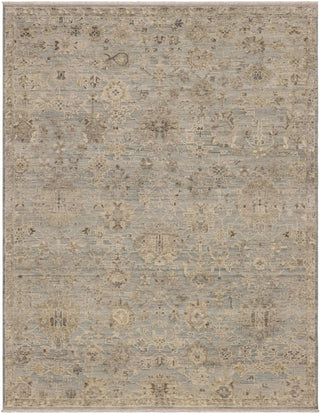 Karastan Sundar Charu Gray Area Rug main image
