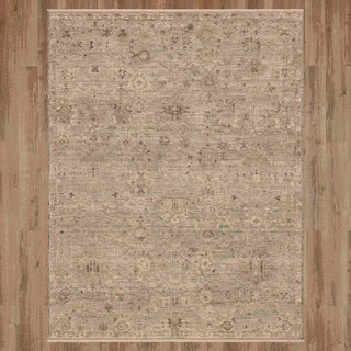 Karastan Sundar Charu Gray Area Rug Main Image