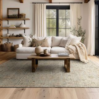 Karastan Sundar Charu Gray Area Rug Lifestyle Image Feature