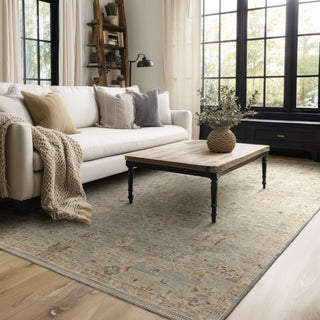 Karastan Sundar Charu Gray Area Rug Lifestyle Image Feature