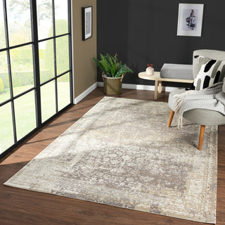 LR Home Cheshire 82121 Grey Area Rug 