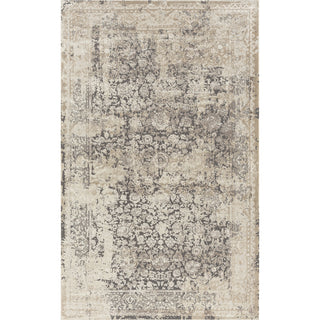 LR Home Cheshire 82121 Grey Area Rug main image