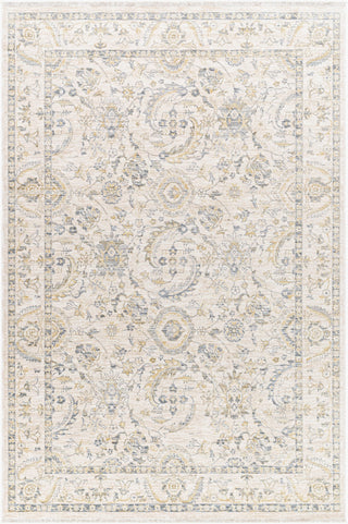 Livabliss Chicago CHG-2300 Area Rug Main