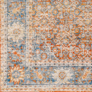 Livabliss Chicago CHG-2304 Area Rug Swatch