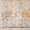 Livabliss Chicago CHG-2307 Area Rug Swatch