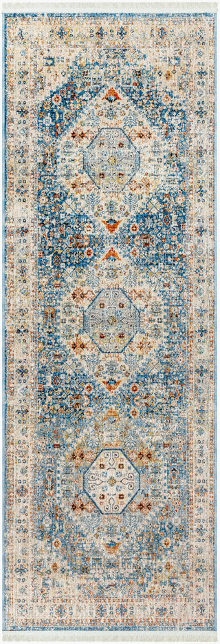 Livabliss Chicago CHG-2309 Area Rug Main