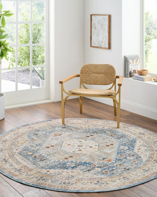 Livabliss Chicago CHG-2309 Area Rug Room Scene Feature