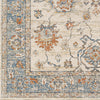 Livabliss Chicago CHG-2311 Area Rug Swatch