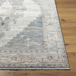 Livabliss Chicago CHG-2314 Area Rug Angle