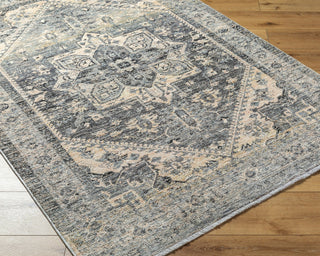 Livabliss Chicago CHG-2316 Area Rug Corner Shot
