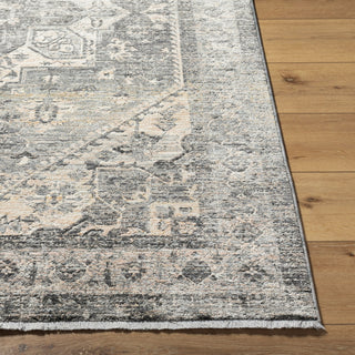 Livabliss Chicago CHG-2316 Area Rug Angle