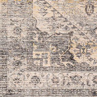 Livabliss Chicago CHG-2316 Area Rug Swatch