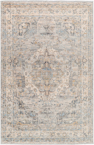 Livabliss Chicago CHG-2317 Area Rug Main