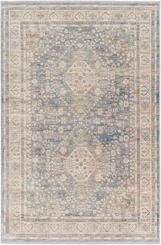 Livabliss Chicago CHG-2318 Area Rug Main