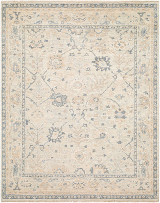 Surya Chennai CHN-2303 Area Rug main image