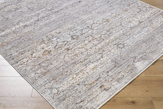Livabliss Chapel Hill CHP-2300 Area Rug by Surya Corner Shot