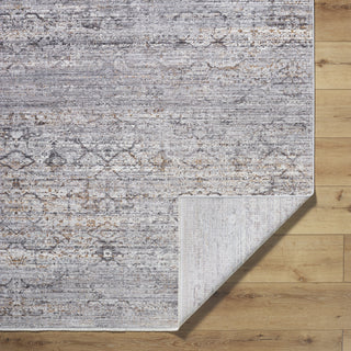 Livabliss Chapel Hill CHP-2300 Area Rug by Surya Pile