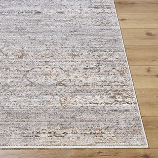 Livabliss Chapel Hill CHP-2300 Area Rug by Surya Angle