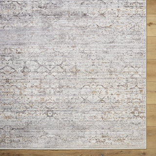 Livabliss Chapel Hill CHP-2300 Area Rug by Surya Detail