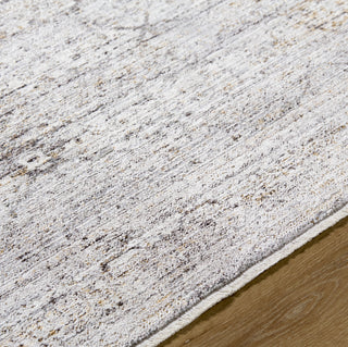 Livabliss Chapel Hill CHP-2300 Area Rug by Surya Detail