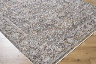 Livabliss Chapel Hill CHP-2301 Area Rug by Surya Corner Shot