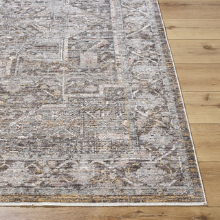 Livabliss Chapel Hill CHP-2301 Area Rug by Surya Angle