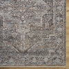 Livabliss Chapel Hill CHP-2301 Area Rug by Surya Detail