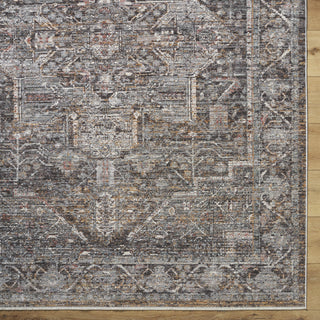 Livabliss Chapel Hill CHP-2301 Area Rug by Surya Detail