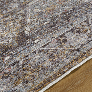 Livabliss Chapel Hill CHP-2301 Area Rug by Surya Detail